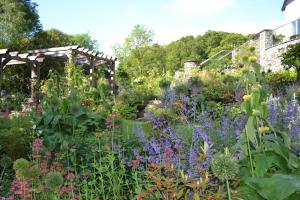 Lush planting Lush planting