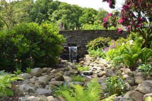 Water cascade and stream planting Water cascade and stream planting