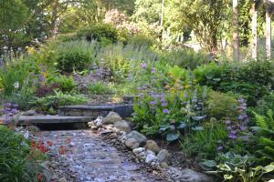 Wier and streamside planting Wier and streamside planting