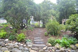 Stream and stepping stones through rhododendron garden Stream and stepping stones through rhododendron garden