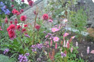 Raised stone planters-Agapanthus, Echinacea, Verbena and Persicaria Raised stone planters-Agapanthus, Echinacea, Verbena and Persicaria