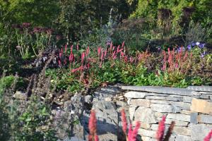 Stone wall, natural bedrock and planting Stone wall, natural bedrock and planting