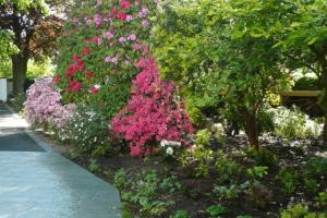Garden care and gardening Windermere Garden care and gardening Windermere