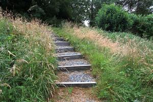 Informal gravel and timber pathway Informal gravel and timber pathway