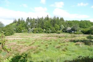 Wetland Construction