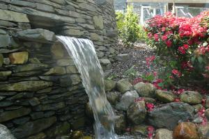 Waterfall and Rhododendrons Waterfall and Rhododendrons
