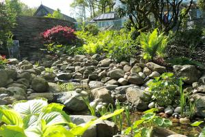 Stream side planting with hosts and ferns Stream side planting with hosts and ferns