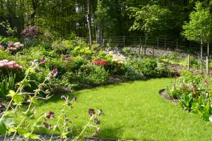 Terraced gardens with Rhododendrons in flower Terraced gardens with Rhododendrons in flower
