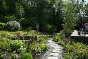 Stepping stones and pond side planting Stepping stones and pond side planting