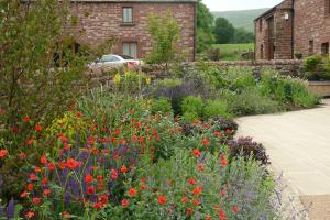 Planted courtyard garden Planted courtyard garden