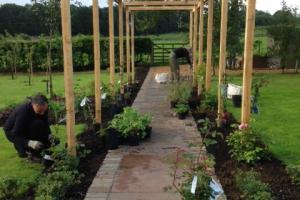 Bespoke Pergola with rose climbers Bespoke Pergola with rose climbers